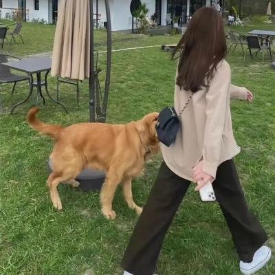 无冕皇后